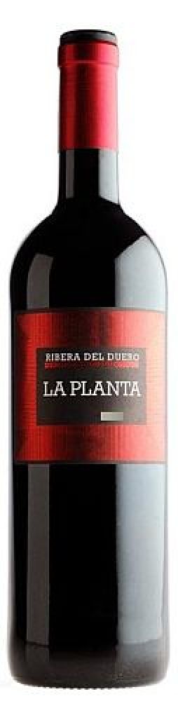 Arzuaga-Navarro La Planta Tinto 2022