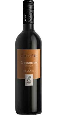 Botter Negroamaro Salento Caleo IGT 2022