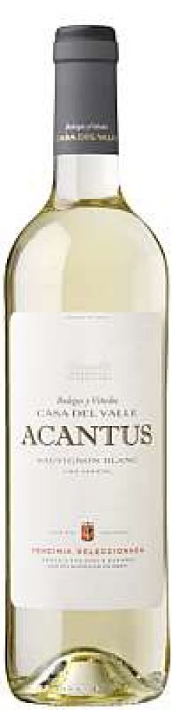 Casa del Valle Acantus Sauvignon Blanc 2023 *12er