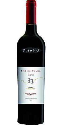 Pisano Rio de los Pajaros Tannat/Syrah/Viognier 2021