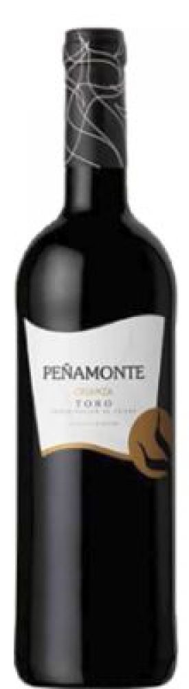 Torreduero Penamonte Crianza Tinto DO 2013